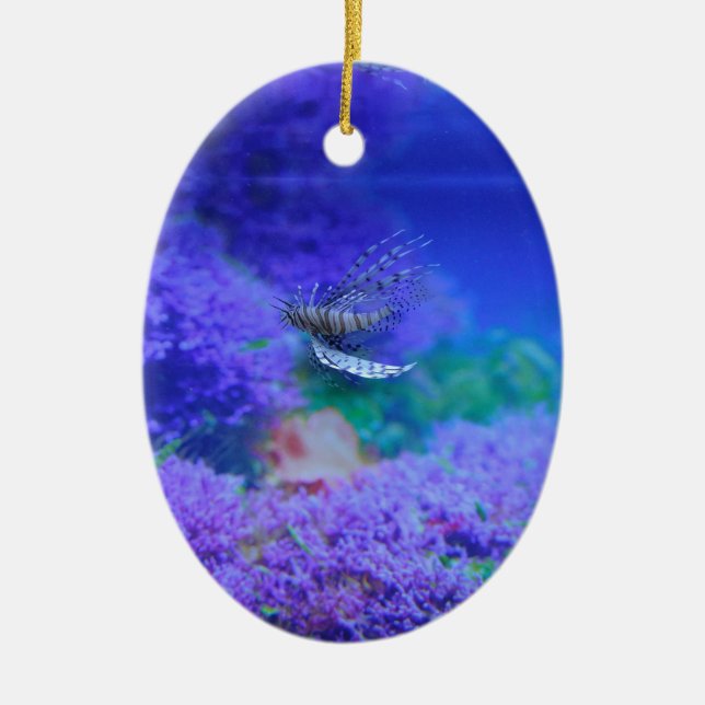 Lionfish Aquarium Lila Pterois Zebrafish Keramikornament (Vorne)