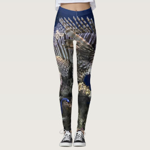 Lionfish im Aquarium Leggings