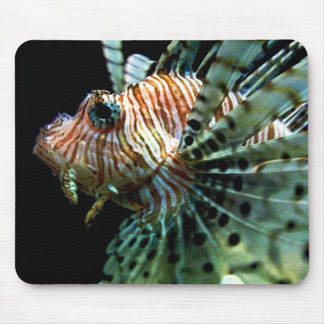 Lionfish Mousepad (Vorne)