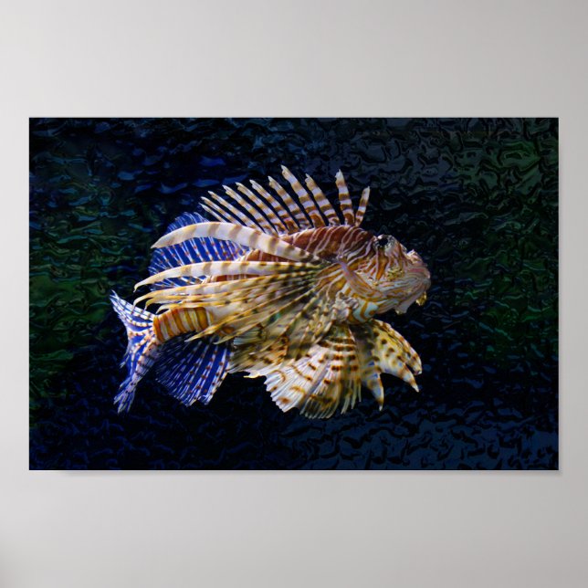 Lionfish Print Poster (Vorne)