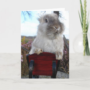 Lionhead Bunny in Sleigh, Happy Holidays Feiertagskarte