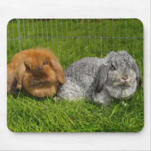 Lionhead Holland Mini Lop Bunny Rabbit Mousepad