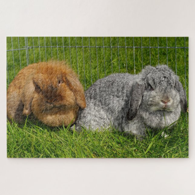 Lionhead Holland Mini Lop Bunny Rabbit Puzzle (Horizontal)
