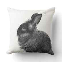 Lionhead Kaninchen