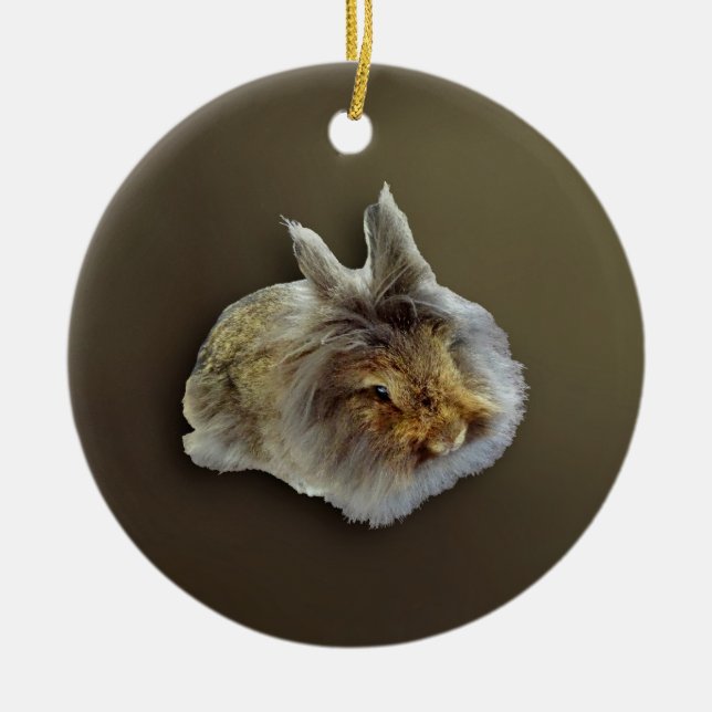 Lionhead Rabbit Keramik Ornament (Vorne)