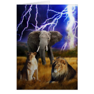 Lions Elephant Südafrika