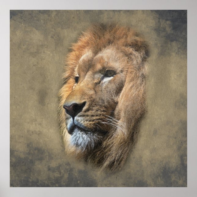 Lions Head Poster (Vorne)
