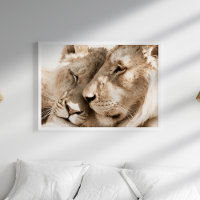 Lions Liebe Safari Animals Fotoposter