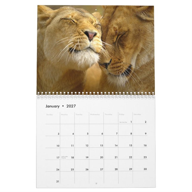Lions-Wall-Kalender Kalender (Jan 2027)