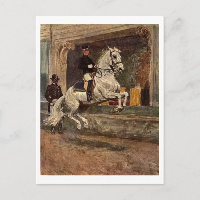 Lipizzan Dressage Postkarte (Vorderseite)