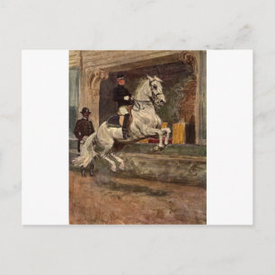 Lipizzan Hallion Dressage Postkarte