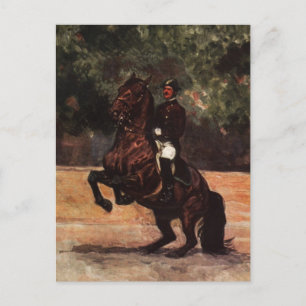 Lipizzan Hallion Dressage Postkarte