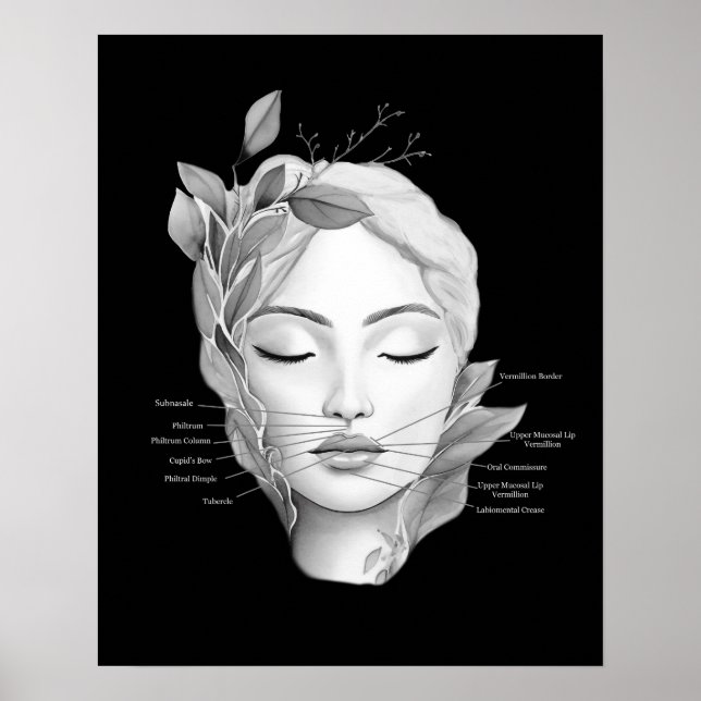 Lippen Anatomie Lip Filler Injektor Poster (Vorne)