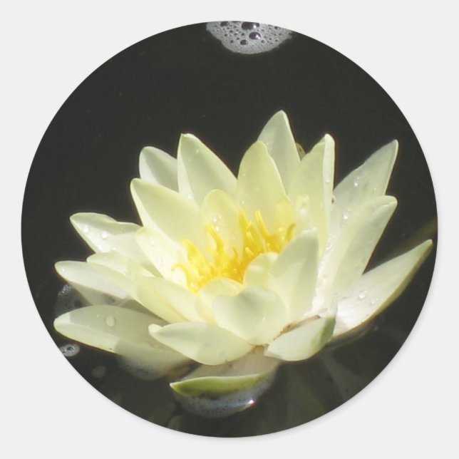 Lippensticker Runder Aufkleber (Vorderseite)