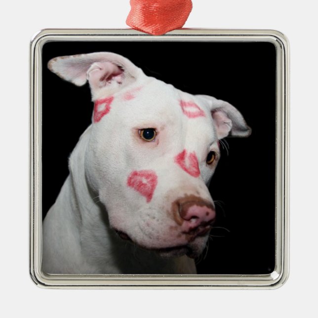 Lippenstift-Küsse der Liebe für den Pitbull Hund Ornament Aus Metall (Vorne)