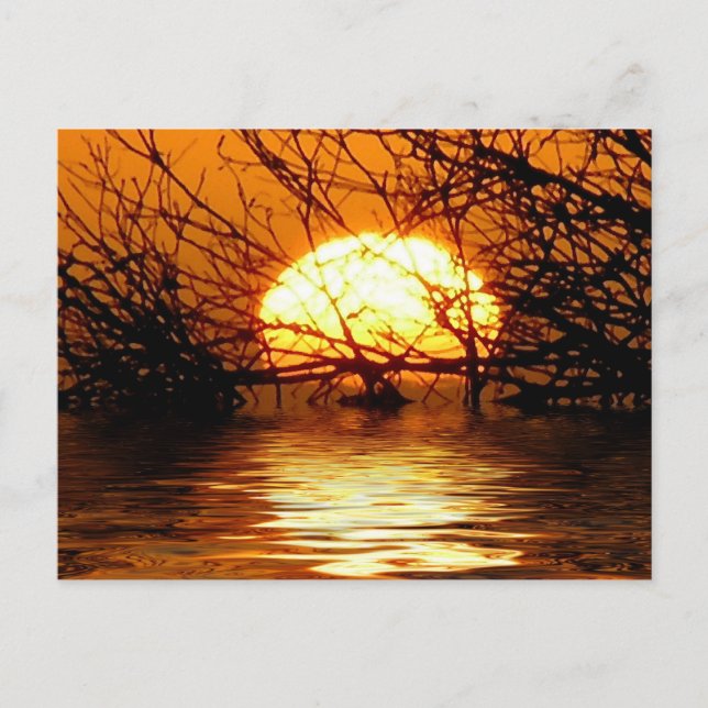 Liquid Sunset Postcard Postkarte (Vorderseite)
