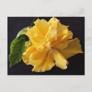 Lisa 1 - Erziehungsbrainfart Postkarte