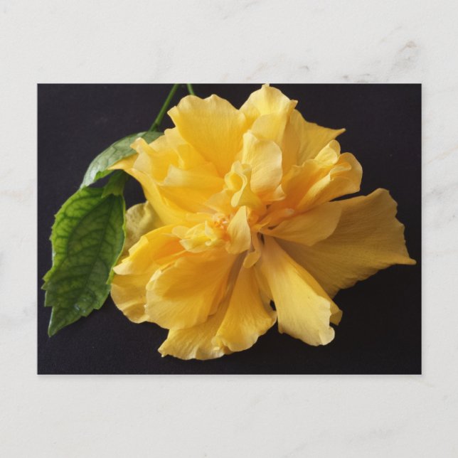 Lisa 1 - Erziehungsbrainfart Postkarte (Vorderseite)