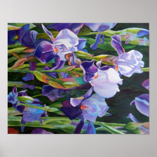 Lisas Iris Garden Poster