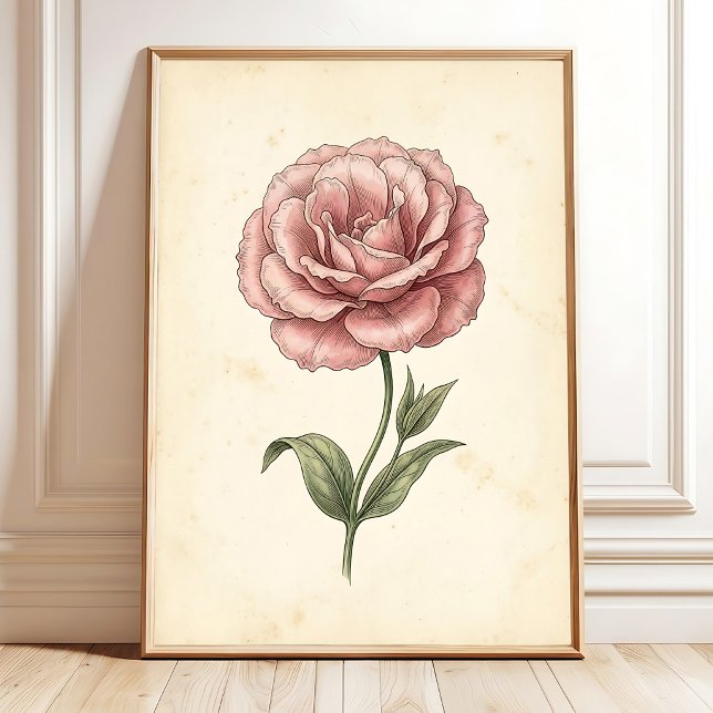 Lisianthus-Botanik-Wandkunst-Drucke Poster (Von Creator hochgeladen)