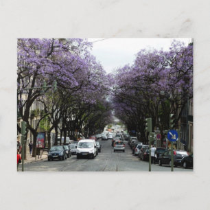 Lissabon Purple Flowers Postkarte
