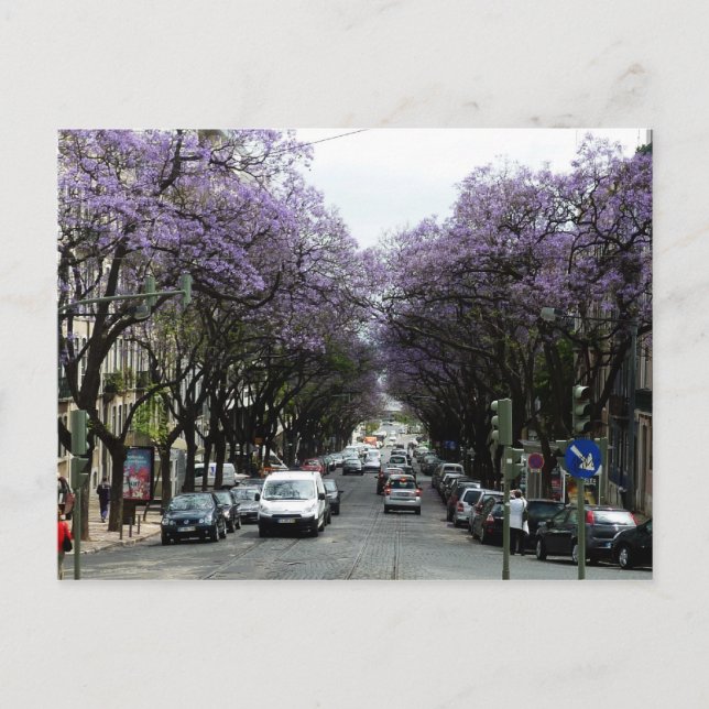 Lissabon Purple Flowers Postkarte (Vorderseite)