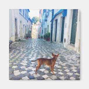 Lissabon Welppy's Street View Portugal Foto Magnet