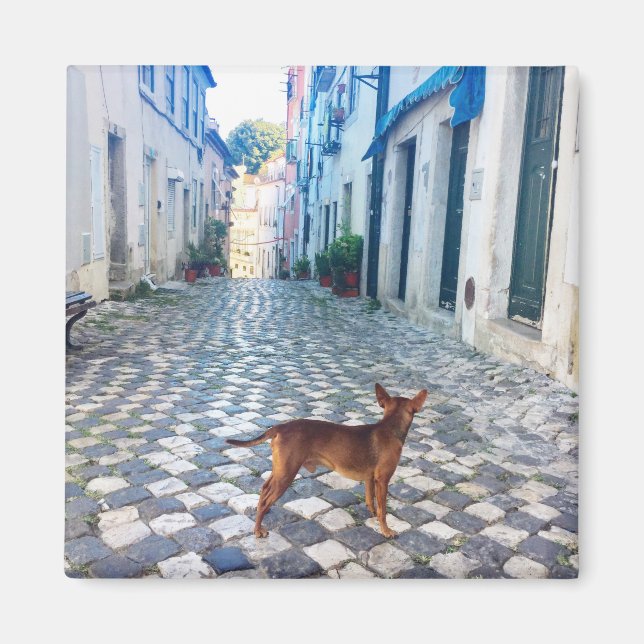 Lissabon Welppy's Street View Portugal Foto Magnet (Vorne)