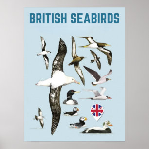 Liste britischer Seevögel Poster