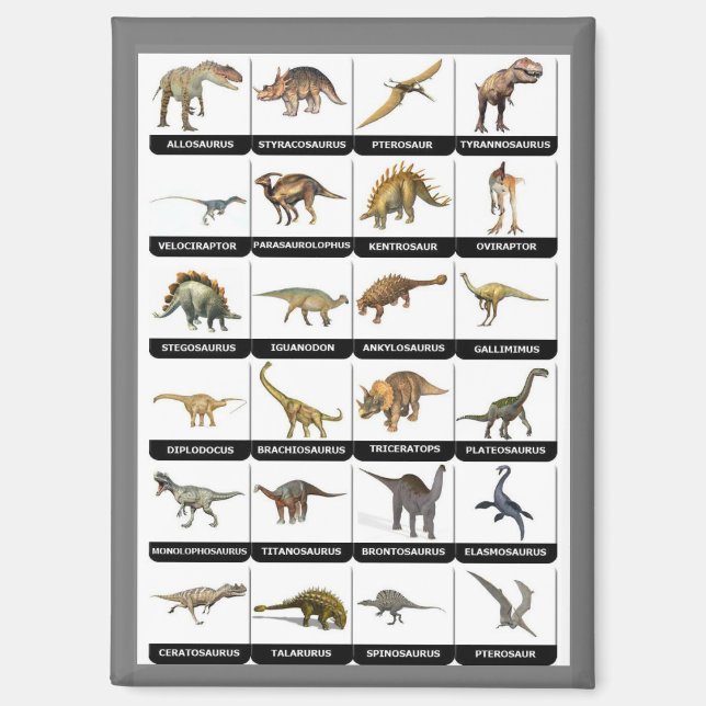 Liste der Dinosaurier Magnet (Vorderseite)
