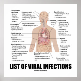 Liste der viralen Infektionen (anatomische Gesundh Poster