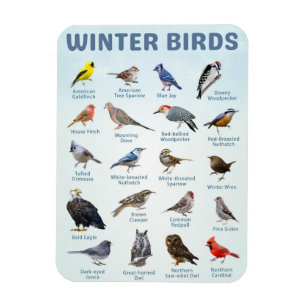 Liste der Wintervögel in Michigan USA Magnet