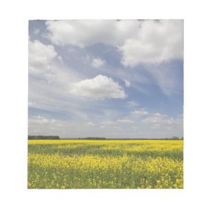 Litauen, Zentral-Litauen, Joniskis, Feld mit Notizblock