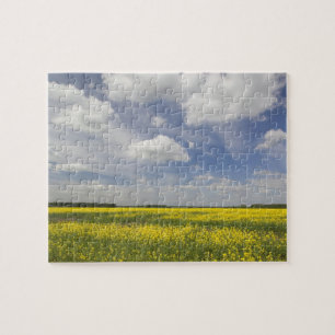 Litauen, Zentral-Litauen, Joniskis, Feld mit Puzzle