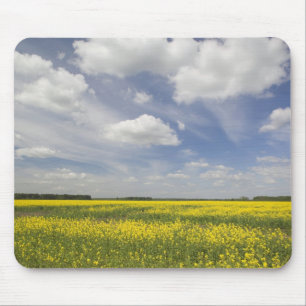 Litauen, Zentral-Litauen, Joniskis, Feld Mousepad