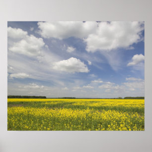 Litauen, Zentrallitauen, Joniskis, Bereich Poster