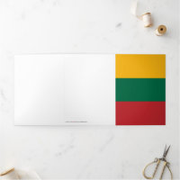 Litauenflagge
