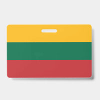 litauische Flagge
