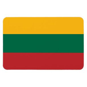 litauische Flagge Magnet