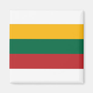 litauische Flagge Magnet