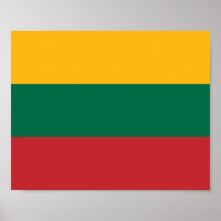 litauische Flagge
