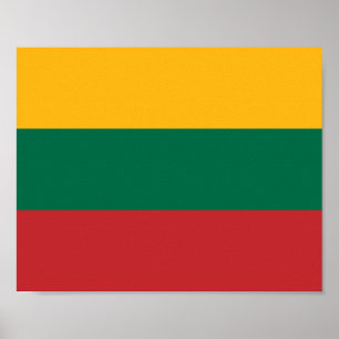 litauische Flagge Poster