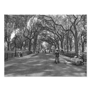Literarisches Weg-Central Park, New York Fotodruck