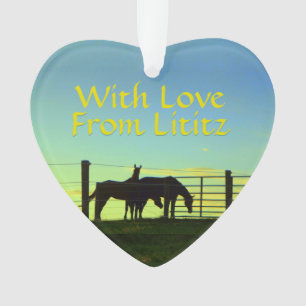 Lititz Verzierung! Bauernhof-Leben! Ornament