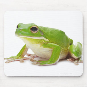 Litora Infrafrenata, Frosch Mousepad