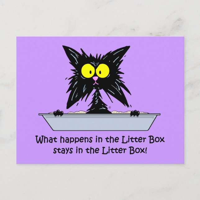 Litterbox Cat Postkarte (Vorderseite)