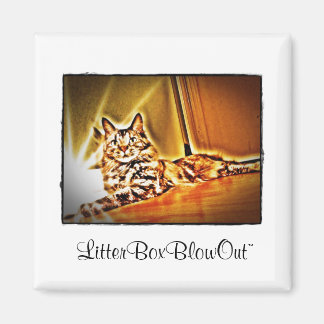 LitterBoxBlowOut Magnet