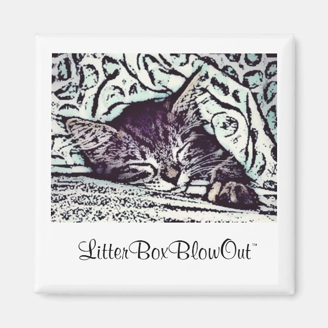 LitterBoxBlowOut Magnet (Vorne)