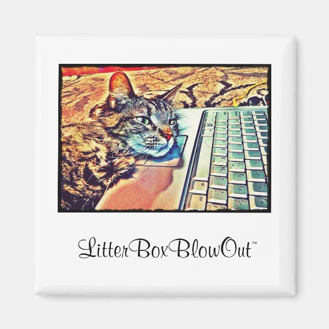 LitterBoxBlowOut Magnet (Vorne)