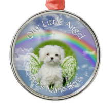 Little Angel Pet Foto